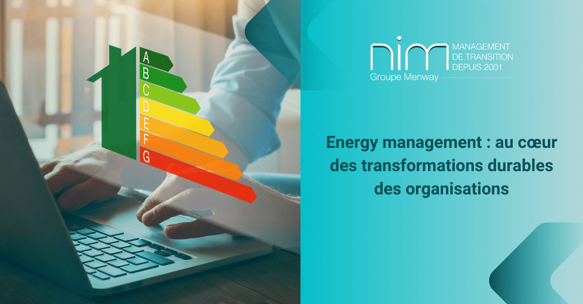 manager de transition